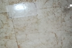 WhatsApp Image 2018-10-29 at 14.24.22(1)