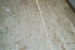 WhatsApp Image 2018-10-29 at 14.24.22(2)