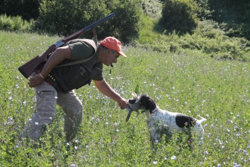 Quagliodromo: apre la zona addestramenti cani con sparo