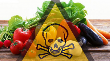 ATTENZIONE: Evitare il consumo di vegetali della zona interessata all’incendio ditta S.I.L. ATTENZIONE: Evitare il consumo di vegetali della zona interessata all’incendio ditta S.I.L.