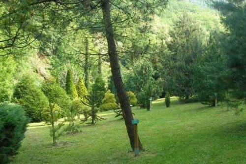 15 Aprile | Passeggiata nell’Orto Botanico di Ome