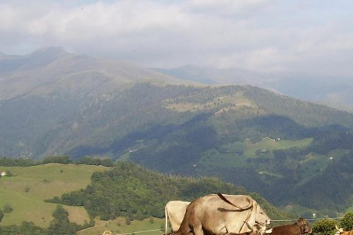 Alta Valtrompia: agricoltori bresciani scoperti dai droni ad evadere fondi europei