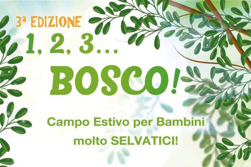 16-20 Luglio | A Brione il campo estivo nel Bosco dedicato ai bambini
