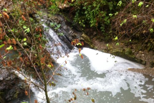 La cittadinanza segnala: nuovi versamenti nel fiume Gobbia