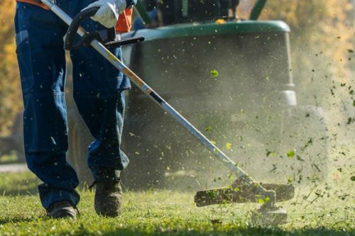 Gestione del verde pubblico: è polemica dall’opposizione