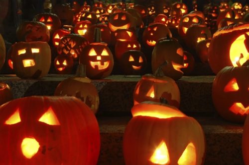31 Ottobre | “Aspettando Halloween” alla Torre Avogadro (e il suo vero significato)