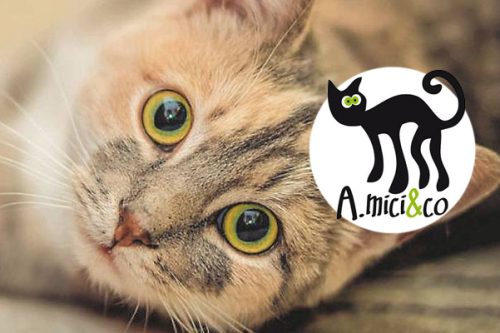“A.Mici&Co” riconosciuta struttura zoofila da Regione Lombardia