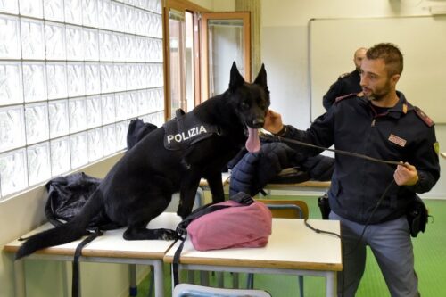 Riaprono le scuole anche in Valle: prime ispezioni anti-droga nelle aule