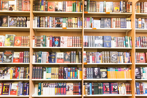 Centro culturale Faidana: i grandi numeri della Biblioteca Felice Saleri
