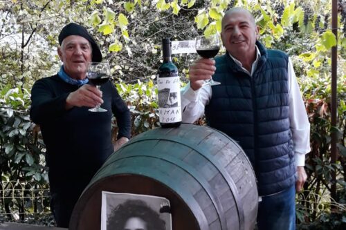 Dalla vendemmia 2018 il Berman si prepara alle nostre tavole Dalla vendemmia 2018 il Berman si prepara alle nostre tavole