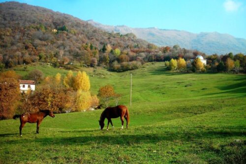 Aperte le candidature: bando sul sito del comune per la gestione della malga San Bernardo