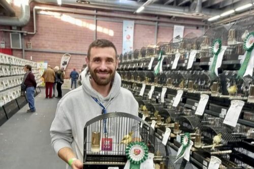 Il campione mondiale dei canarini è lumezzanese: la storia di Luca Omodei Il campione mondiale dei canarini è lumezzanese: la storia di Luca Omodei