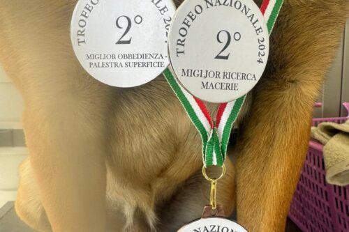 Grande successo per i volontari della Protezione Civile di Lumezzane ai Campionati Italiani CSEN soccorso