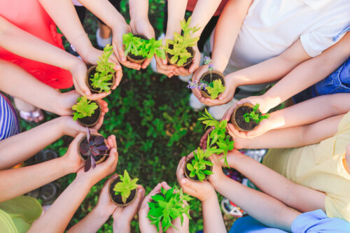 Lumezzane inaugura la stagione estiva con innovazioni nel giardino scolastico